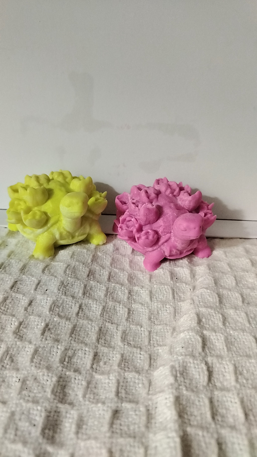 Tulip Turtles