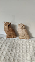 Owls