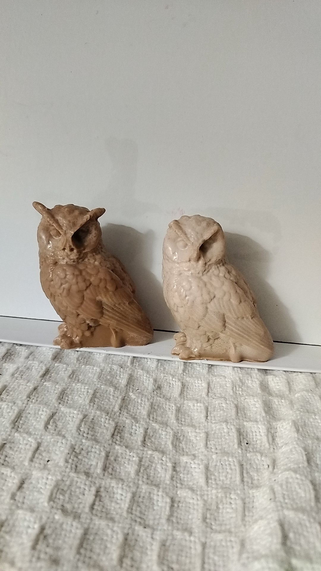 Owls